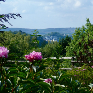 natur